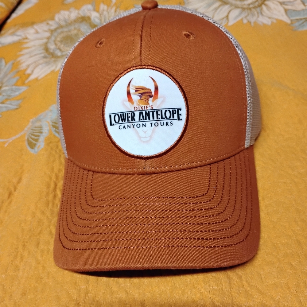 Brown Cap